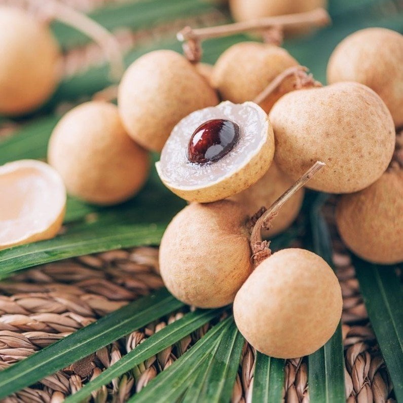 Tüplü Longan (Ejderha Gözü) Fidanı