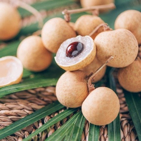 Tüplü Longan (Ejderha Gözü) Fidanı