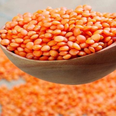 Ata Tohumları Geleneksel Kırmızı Mercimek Tohumu (20 Tohum