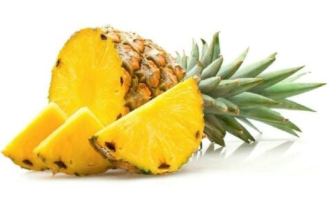 Tüplü Nadir Bulunan Ananas Fidanı (9 LUK saksıda mini fidan)