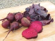 Bull's Blood Pancar Tohumu(50 tohum)