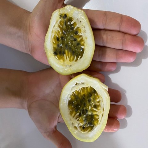 Özel Dev Meyveli Passiflora Edulis Var Flavicarpa Tohumu (30 tohum)