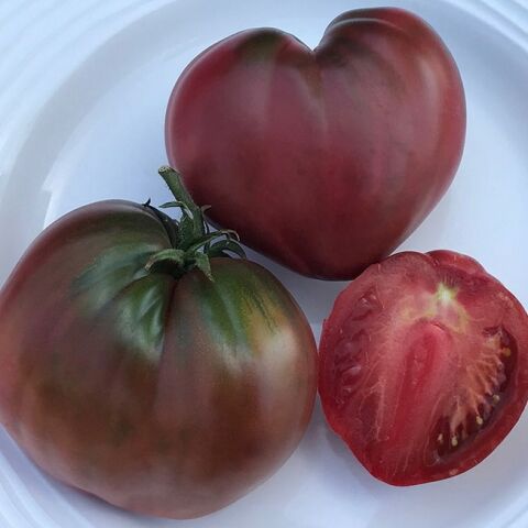 Dwarf Purple Heart Kalp Domates Tohumu (15 tohum)