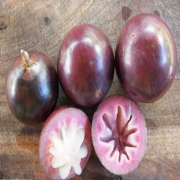 Doğal Star Apple(Yıldız Elma) Tohumu (5 tohum)
