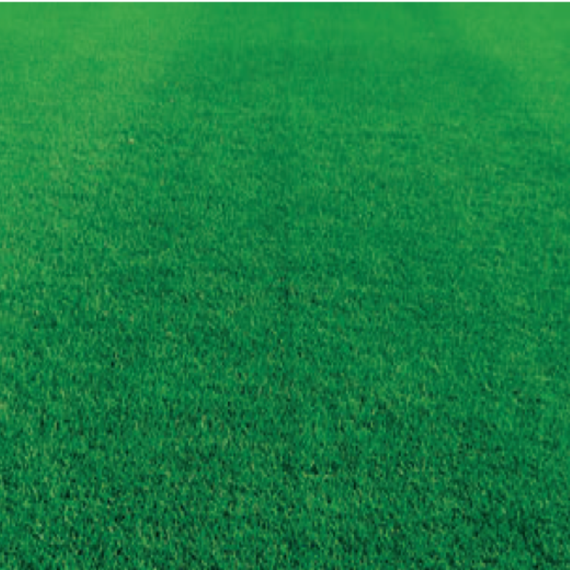 Semillas Fito Repolador Karışımı Tamir Yama Çimi Tohumu 5 Kg