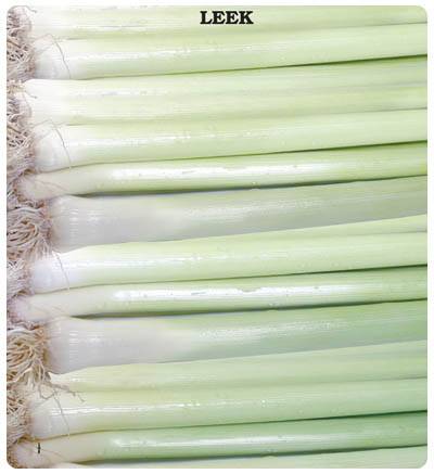 Pırasa Tohumu (İnegöl) (2 gram)