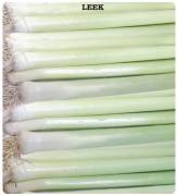 Pırasa Tohumu (İnegöl) (2 gram)