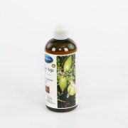 Organik Argan Yağlı Şampuan 400Ml