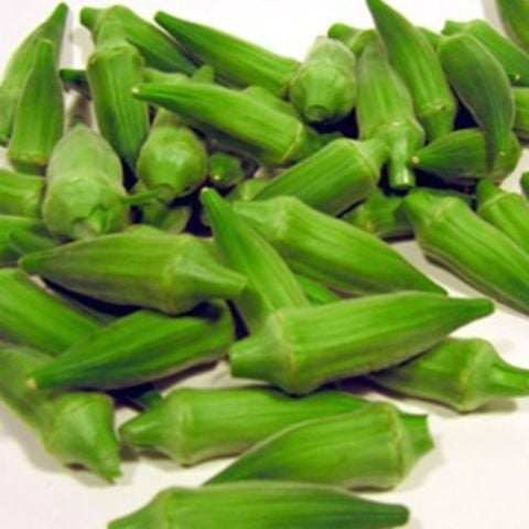 Turşuluk Kurutmalık Yemeklik Geleneksel  Japon Bamya Fidesi (5 adet)
