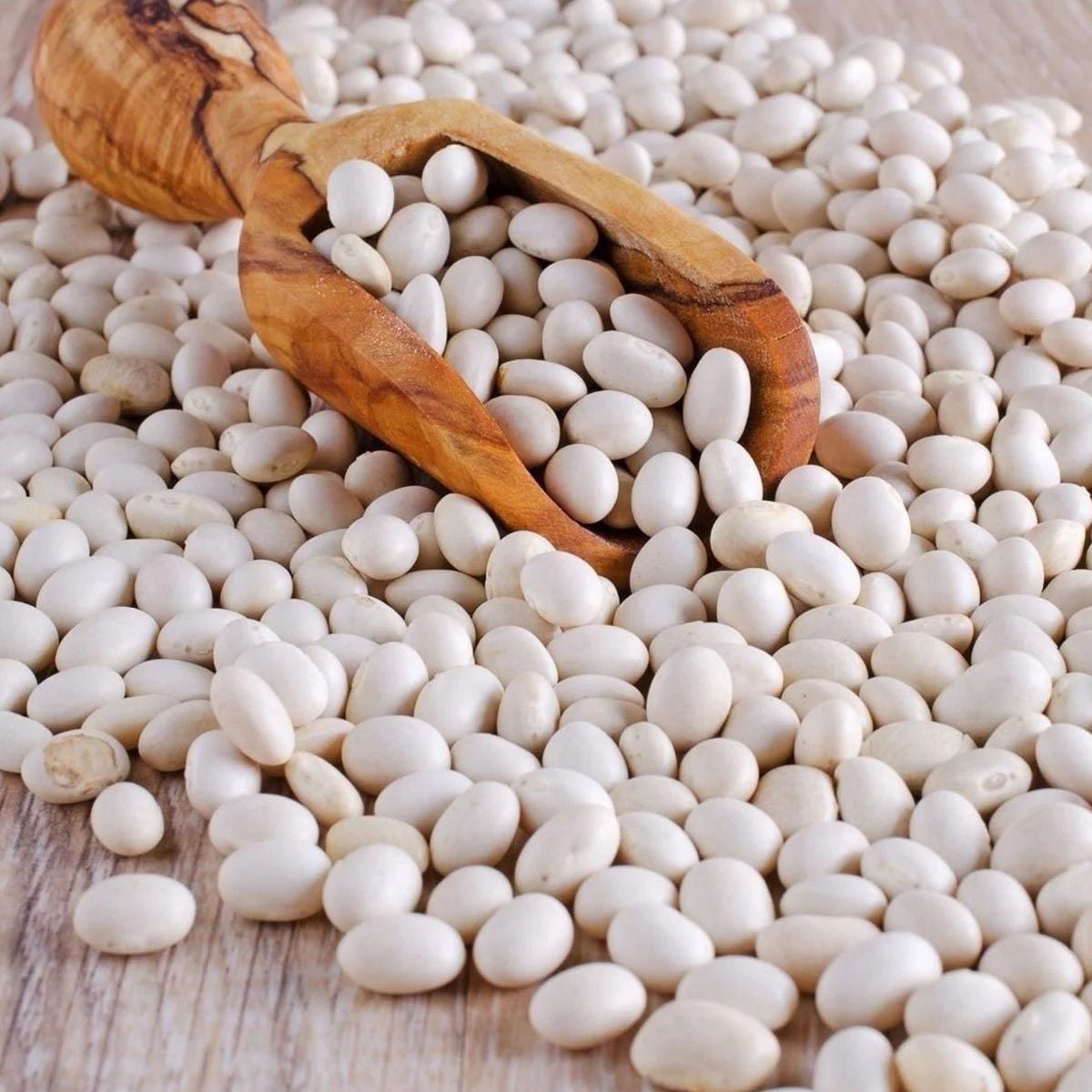 Geleneksel Kılçıksız Anadolu Geleneksel İspir Şeker Fasulye Fidesi (5 adet)