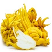 Nadir Budanın Eli(Buddha's hand fruit) Limon Fidanı