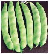 Fasulye Tohumu (Sırık - Özayşe) 25 gram