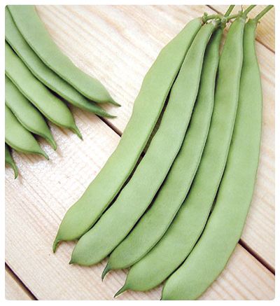 Derem Fasulye Tohumu (25 gram)