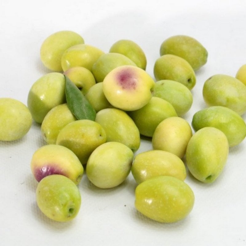 Orta Boy Ayvalık Ham Kırmalık Yeşil Zeytin (5 kg)