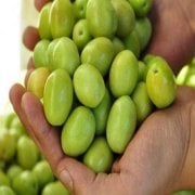 İri Boy İri Meyveli Sarıualak Ham Kırmalık Yeşil Zeytin (10 kg)