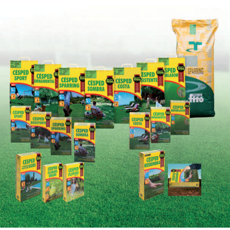 Semillas Fito Sombra Karışımı Gölgeye Dayanıklı Çim Tohumu 5 Kg