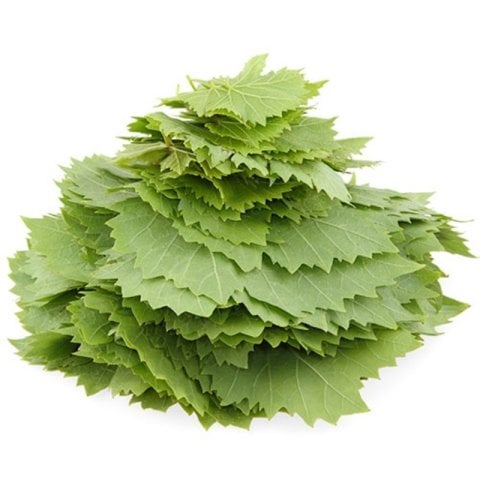 Sarmalık Dolmalık Çardaklık Yapraklık Meyve Vermeyen Üzüm Fidanı