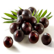 Doğal  Acai Berry Tohumu(5 tohum)