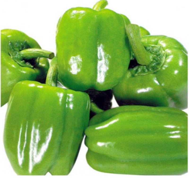 İnce Kabuk Yeşil Dolmalık Dolmalık Biber Fidesi 5 adet