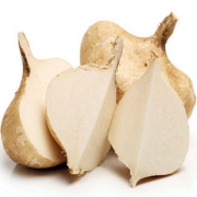 Doğal Jicama Sebzesi Tohumu( 5 tohum)