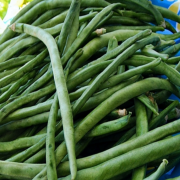 Geleneksel Anadolu Sırık Börülce Fidesi (5 adet)