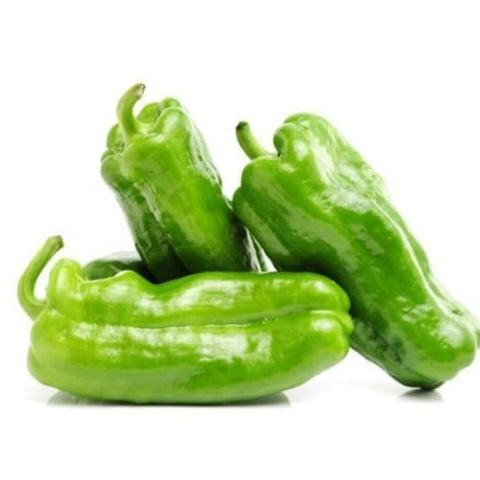 Kızartmalık Mangallık Gamber Üçburun Köy Biberi Üç Burun Biber Fidesi (5 adet)