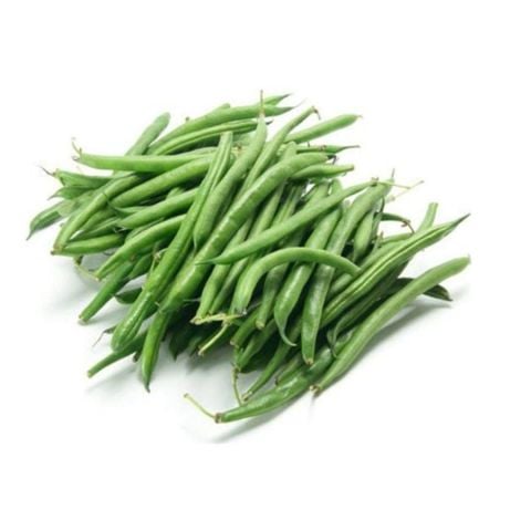 Geleneksel Anadolu Oturak Börülce Fidesi  5  adet