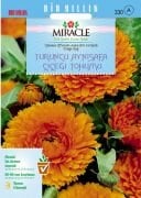 Miracle Turuncu Katmerli Aynı Safa Çiçeği Tohumu (100  tohum)
