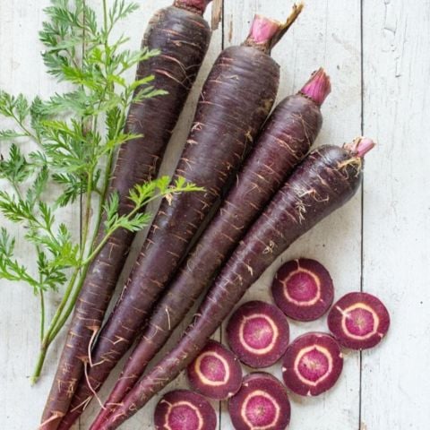 Siyah Havuç Fidesi  (5  adet)