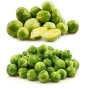 Brüksel Lahanası Fidesi (5 adet)