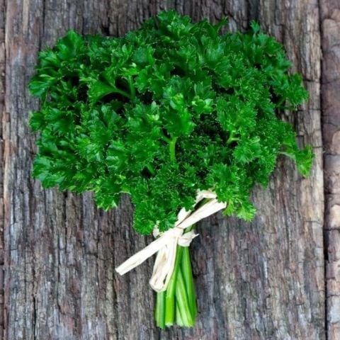 Geleneksel Kıvırcık Yapraklı Maydanoz Fidesi (5 adet)