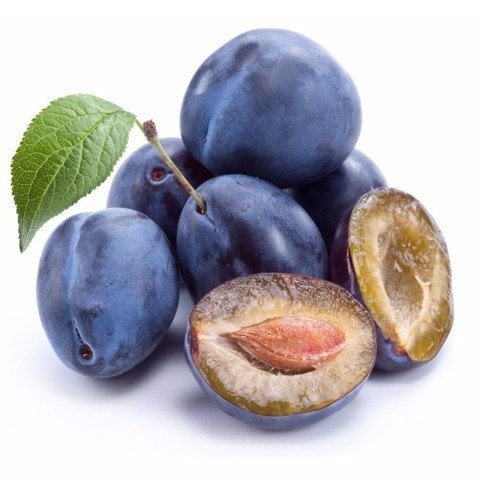 Tüplü Tam Bodur İnnovative Tree Mürdüm Eriği Fidanı