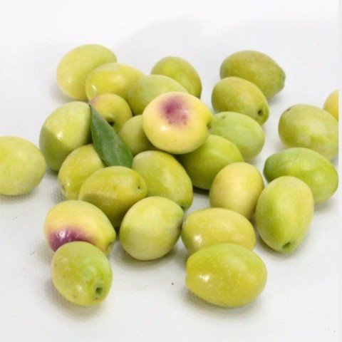 Aşılı Kırmalık Yağlık Ayvalık Edremit Zeytin Fidanı(100-150 cm)