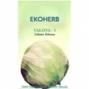Ekoherb Organik İlaçsız Yalova-1 Lahana Tohumu(5 gram)