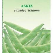 Askız Organik Fasulye Tohumu (15 tohum)