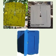 Bks Yellow Sarı Yapışkanlı Tuzak Trips Akdeniz Sineği ve Yaprak Bitleri İçin(25 cmx10cm)