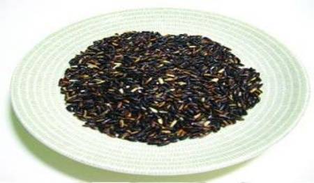 Doğal Siyah PirinçTohumu (20 Tohum)