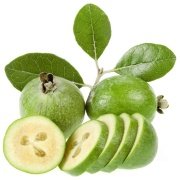 Feijoa(Kaymak Ağacı) Tohumu 5 adet