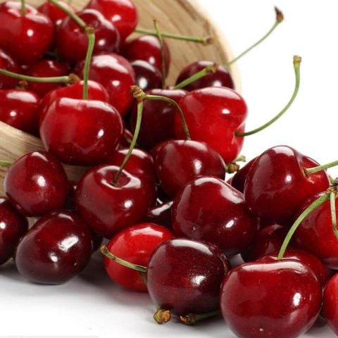 Seneye Meyve Verebilir Durumda  Yarı Bodur Kütahya Vişne Fidanı