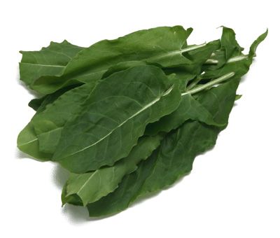 Doğal Kuzu Kulağı Tohumu(50 tohum)