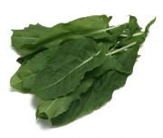 Doğal Kuzu Kulağı Tohumu(50 tohum)