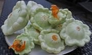 Doğal Bennings Green Tint Scallop Yeşil Yaz Kabağı Tohumu(5 tohum)