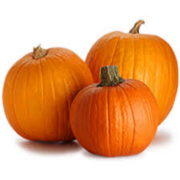 Doğal Spooky Şeker Balkabağı Tohumu (5 tohum)