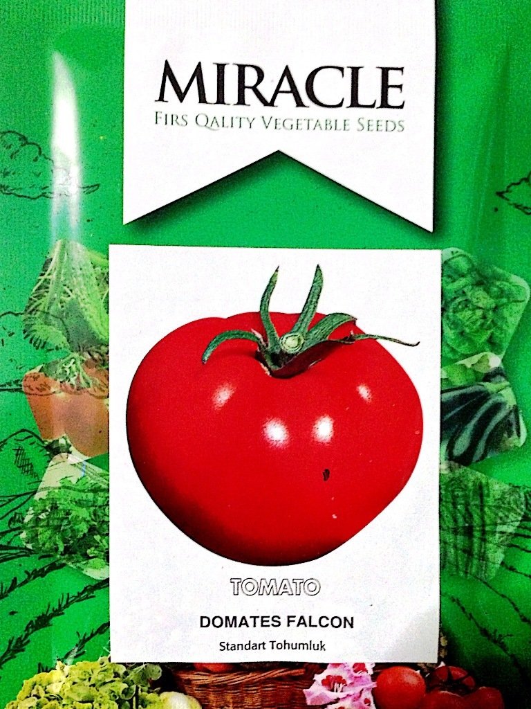 Miracle Falkon Etli Domates Tohumu (10 gram)