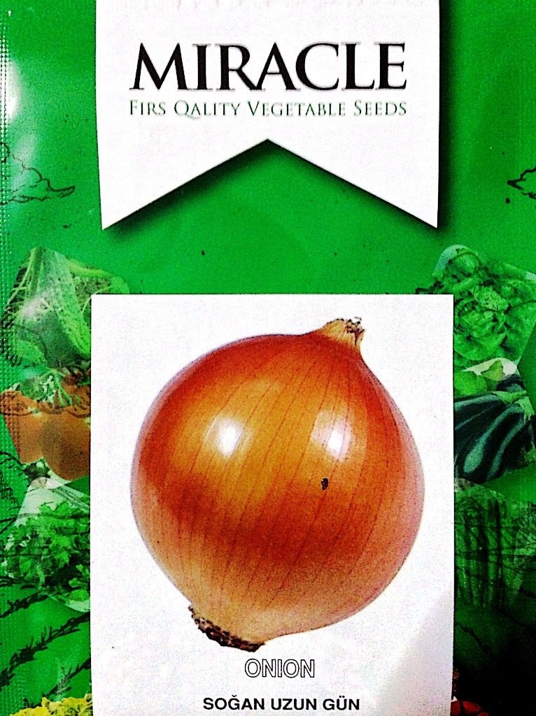 Miracle Uzun Gün Valencia Soğan Tohumu (10 gram)