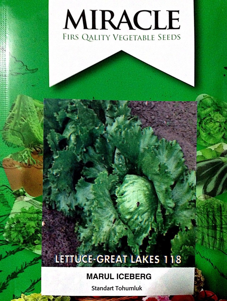 Miracle İceberg Marul Tohumu (1 gram)