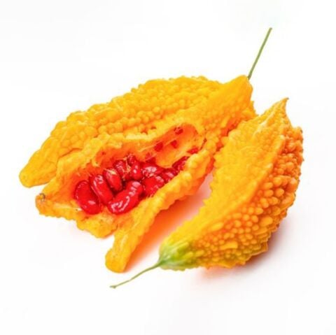 Tüplü Dört Mvesim Dikilebilen Geleneksel Doğal Kudret Narı Fidanı (40-80 cm)