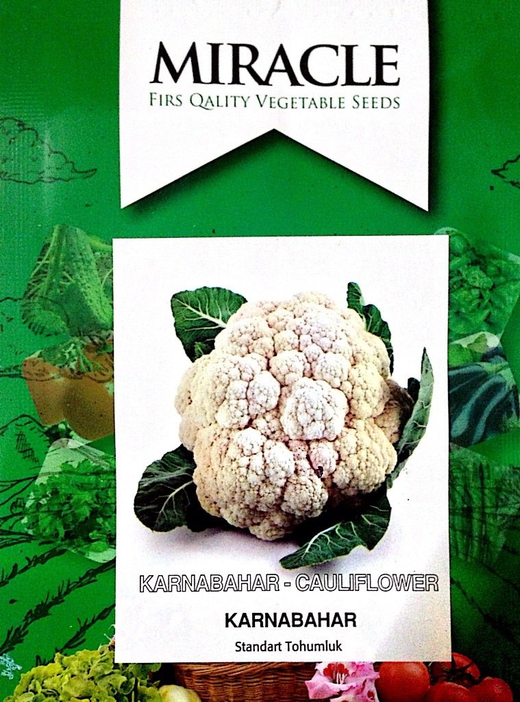 Miracle İgloo Karnabahar Tohumu (0,35 gram)