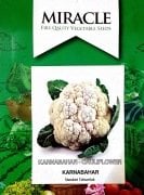 Miracle İgloo Karnabahar Tohumu (0,35 gram)