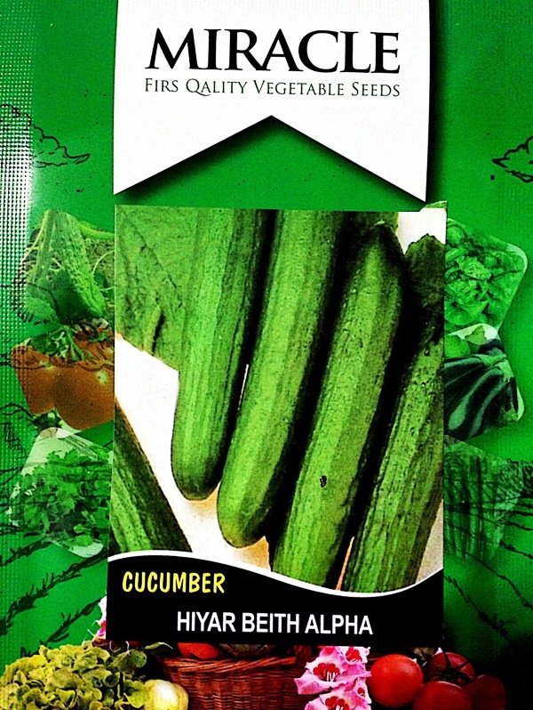 Miracle Kokulu Beith Alpha Salatalık Tohumu (10 gram)
